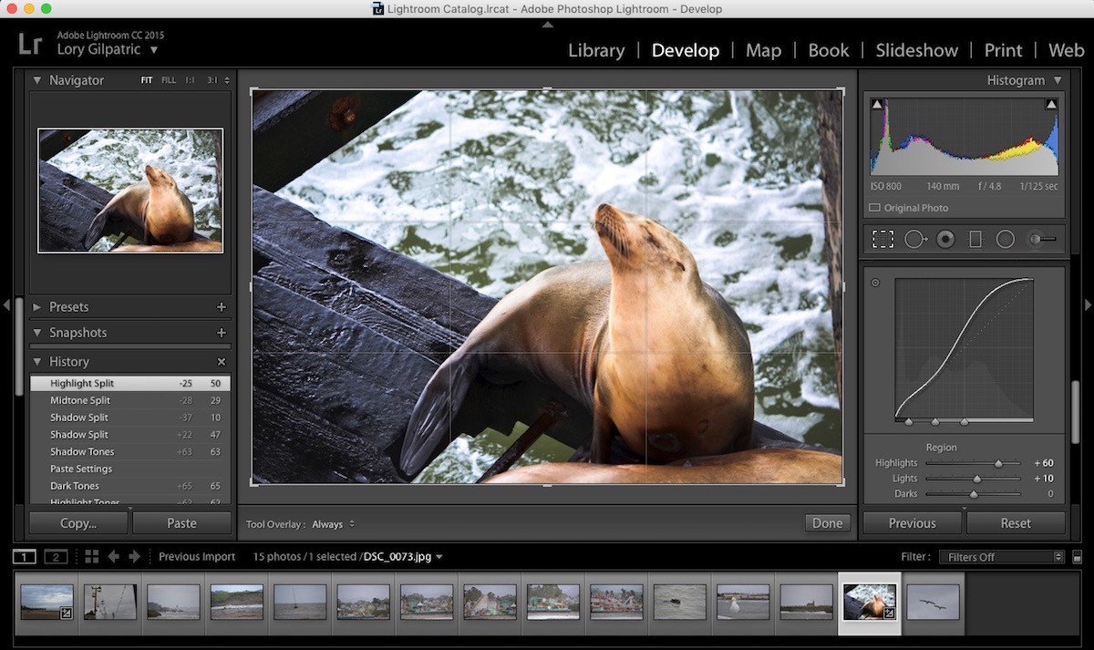 Best raw editing software mac compatible